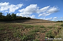 VBS_5351 - La solita strada... il grano da crescere, i campi da arare...